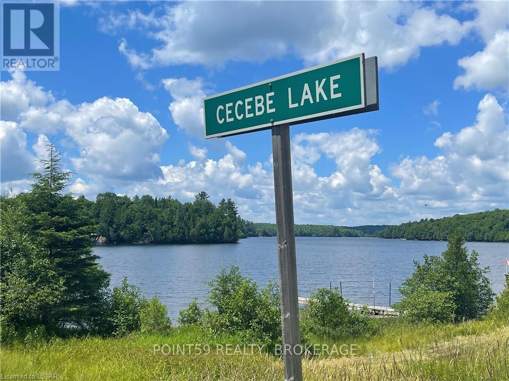 2442 Highway 520, Burk's Falls, Ontario  P0A 1C0 - Photo 4 - X8382132
