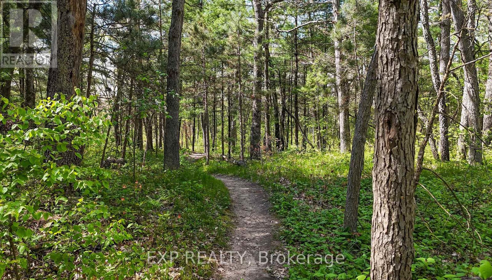 9928 Eric Street, Lambton Shores, Ontario  N0M 2N0 - Photo 9 - X9049702