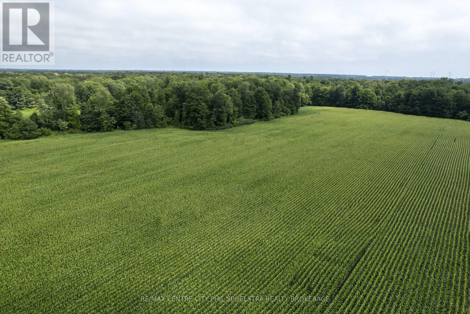 56813 Light Line, Bayham (Vienna), Ontario  N0J 1Z0 - Photo 10 - X9051287