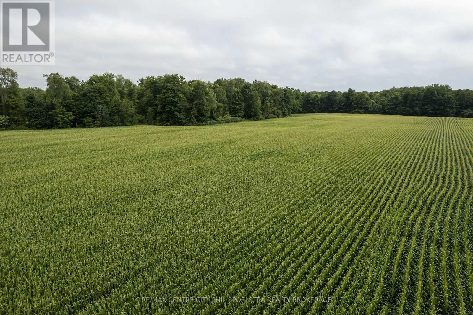 56813 Light Line, Bayham (Vienna), Ontario  N0J 1Z0 - Photo 11 - X9051287