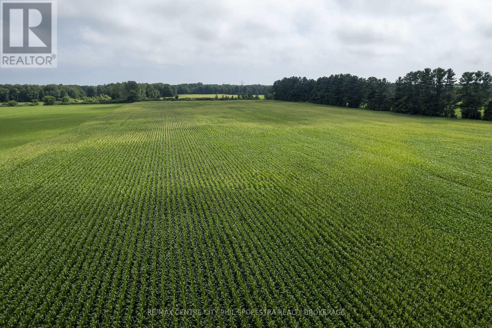 56813 Light Line, Bayham (Vienna), Ontario  N0J 1Z0 - Photo 14 - X9051287