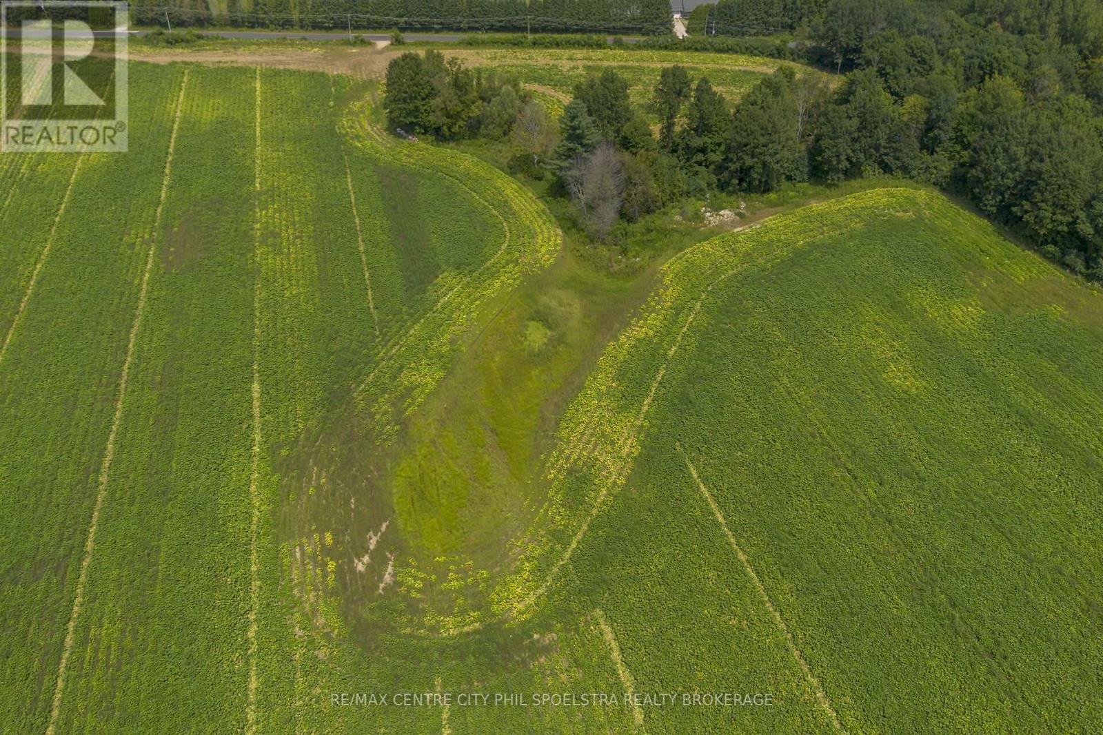 55960 Chute Line, Bayham (Vienna), Ontario  N0J 1Z0 - Photo 10 - X9265729