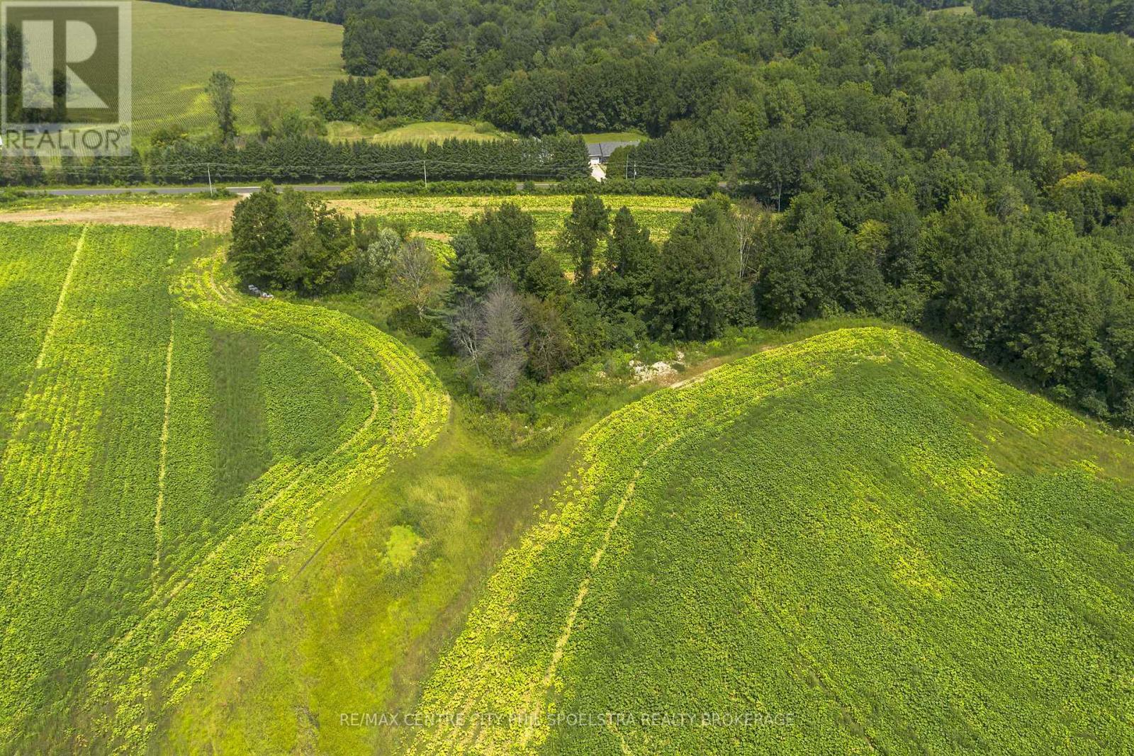 55960 Chute Line, Bayham (Vienna), Ontario  N0J 1Z0 - Photo 11 - X9265729