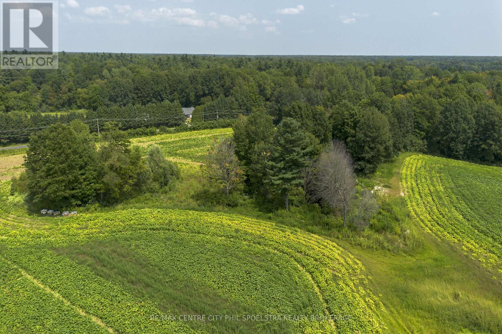 55960 Chute Line, Bayham (Vienna), Ontario  N0J 1Z0 - Photo 16 - X9265729