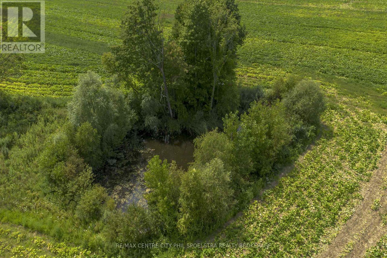 55960 Chute Line, Bayham (Vienna), Ontario  N0J 1Z0 - Photo 18 - X9265729