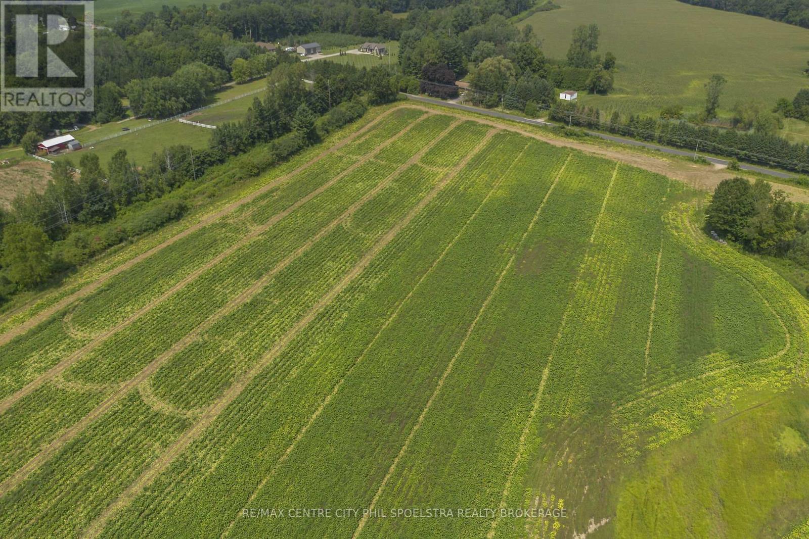 55960 Chute Line, Bayham (Vienna), Ontario  N0J 1Z0 - Photo 20 - X9265729