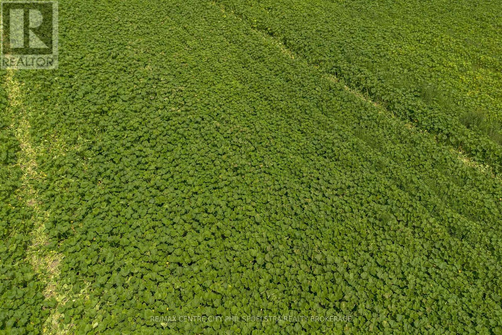 55960 Chute Line, Bayham (Vienna), Ontario  N0J 1Z0 - Photo 26 - X9265729