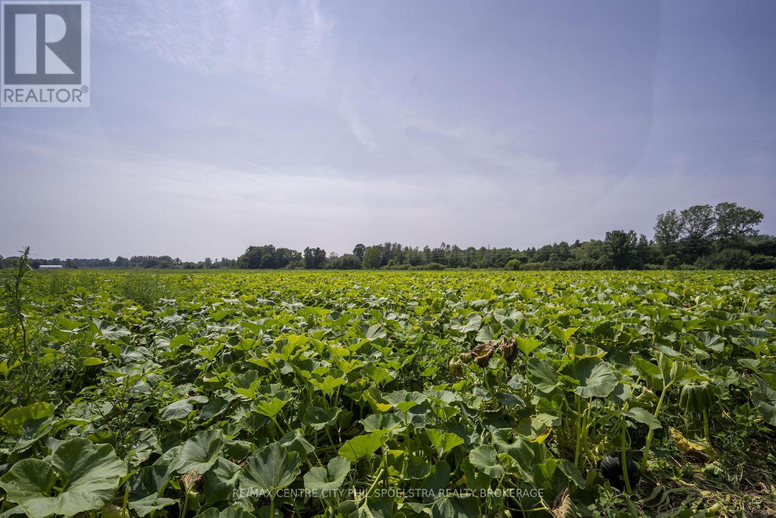 55960 Chute Line, Bayham (Vienna), Ontario  N0J 1Z0 - Photo 37 - X9265729