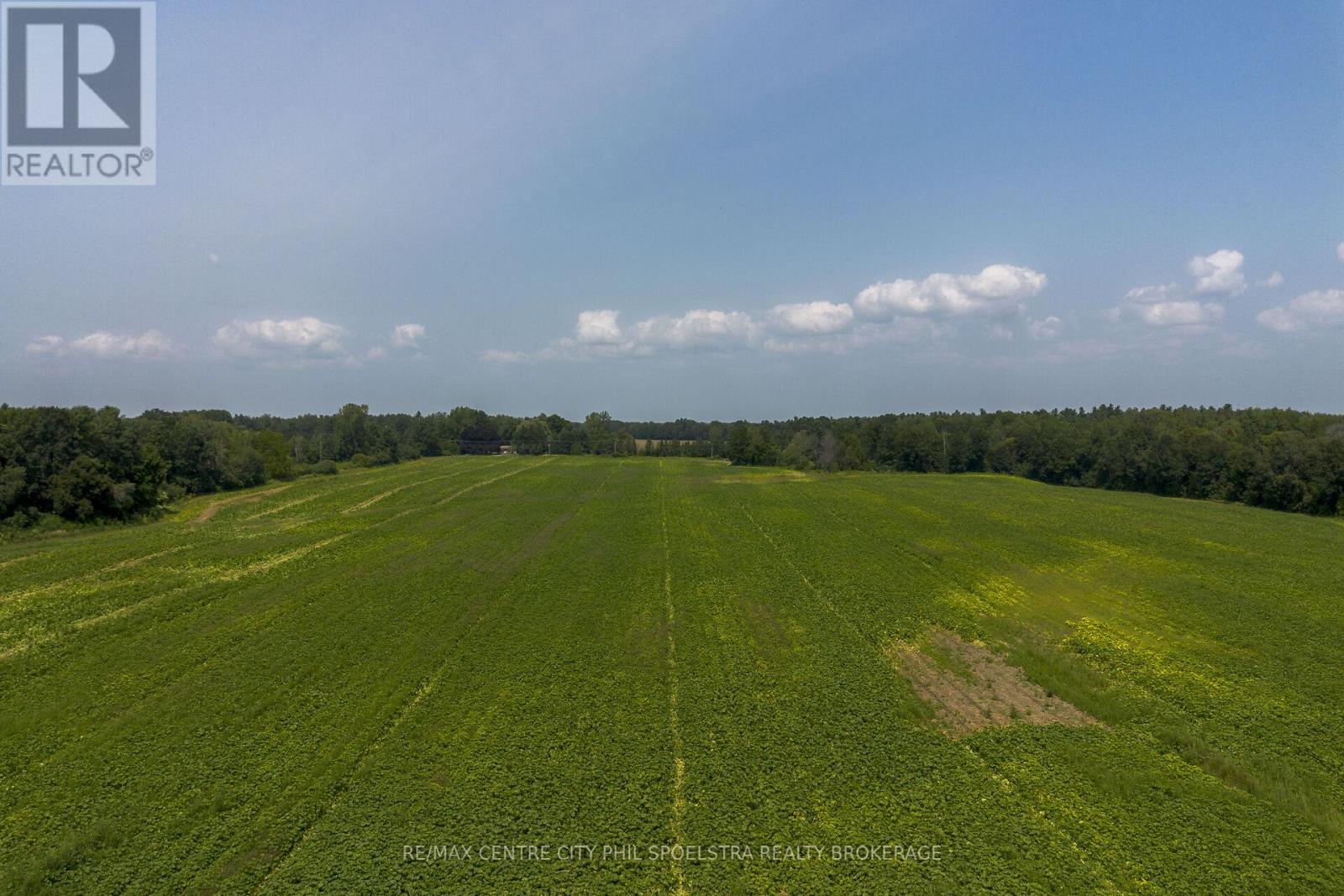 55960 Chute Line, Bayham (Vienna), Ontario  N0J 1Z0 - Photo 5 - X9265729