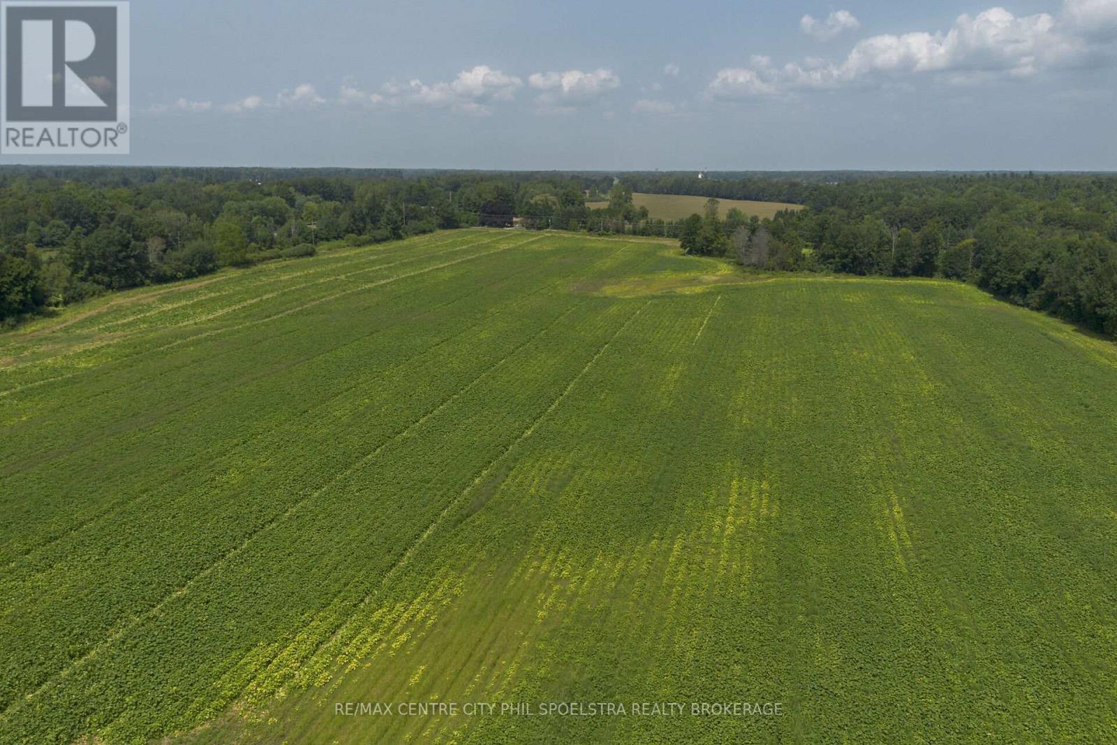 55960 Chute Line, Bayham (Vienna), Ontario  N0J 1Z0 - Photo 6 - X9265729