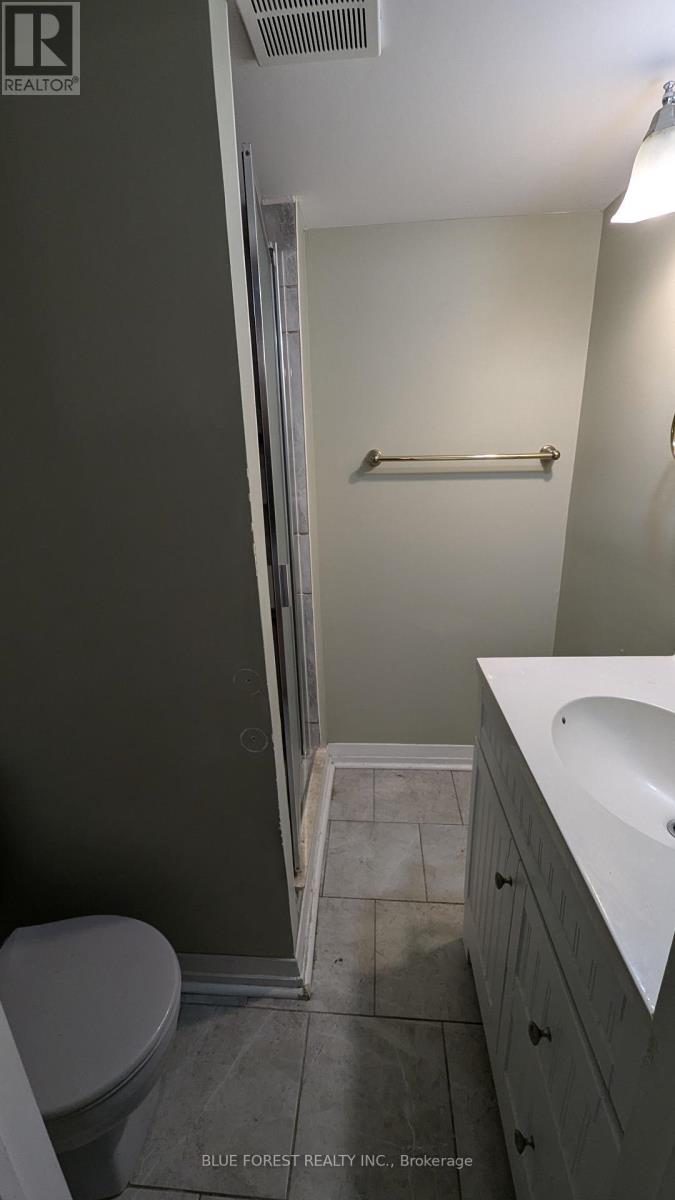 266 Greenwood Avenue, London, Ontario  N6J 3G4 - Photo 20 - X9354328