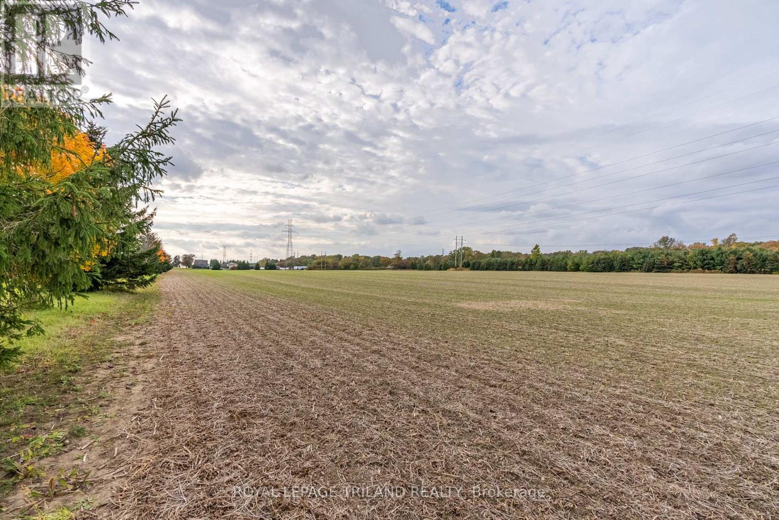 6134 Westminster Drive, London, Ontario  N5P 1N5 - Photo 8 - X9354779
