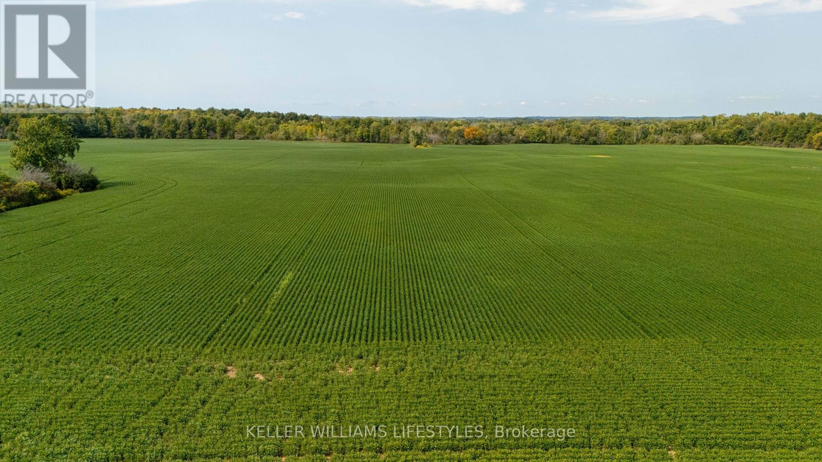 Ptlt2 Con 2 Duff Line, Dutton/dunwich, Ontario  N0L 1J0 - Photo 1 - X9375747