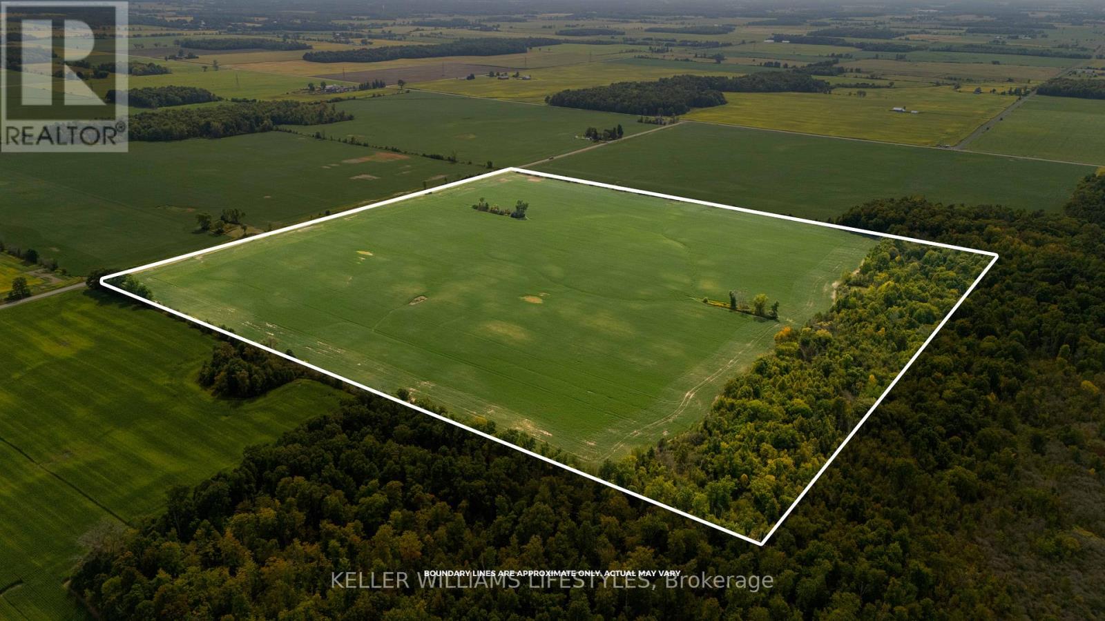 Ptlt2 Con 2 Duff Line, Dutton/dunwich, Ontario  N0L 1J0 - Photo 4 - X9375747