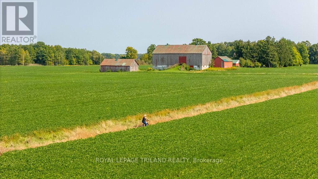 29566 Celtic Line, Dutton/dunwich, Ontario  N0L 1J0 - Photo 7 - X9375969