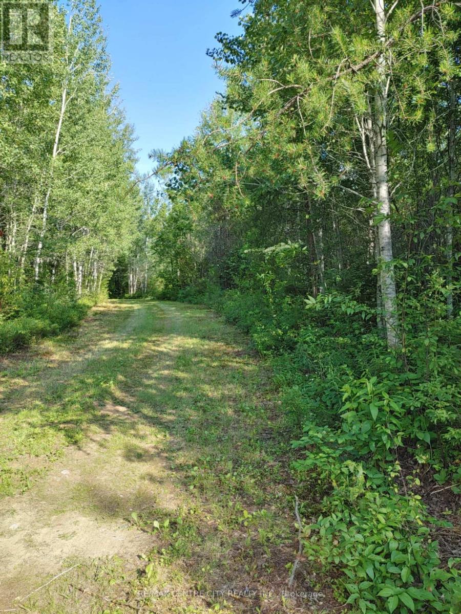 LOT 5 CON 1 ROAD, timiskaming remote area, Ontario