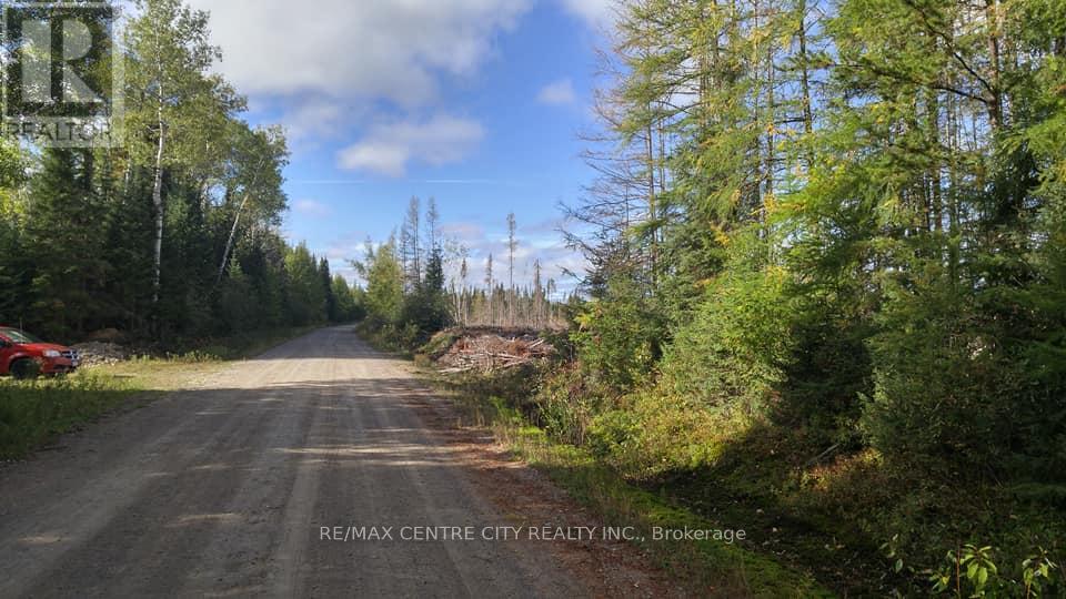 Lot 5 Con 1 Road, Timiskaming Remote Area, Ontario  P0J 1M0 - Photo 10 - T9376320