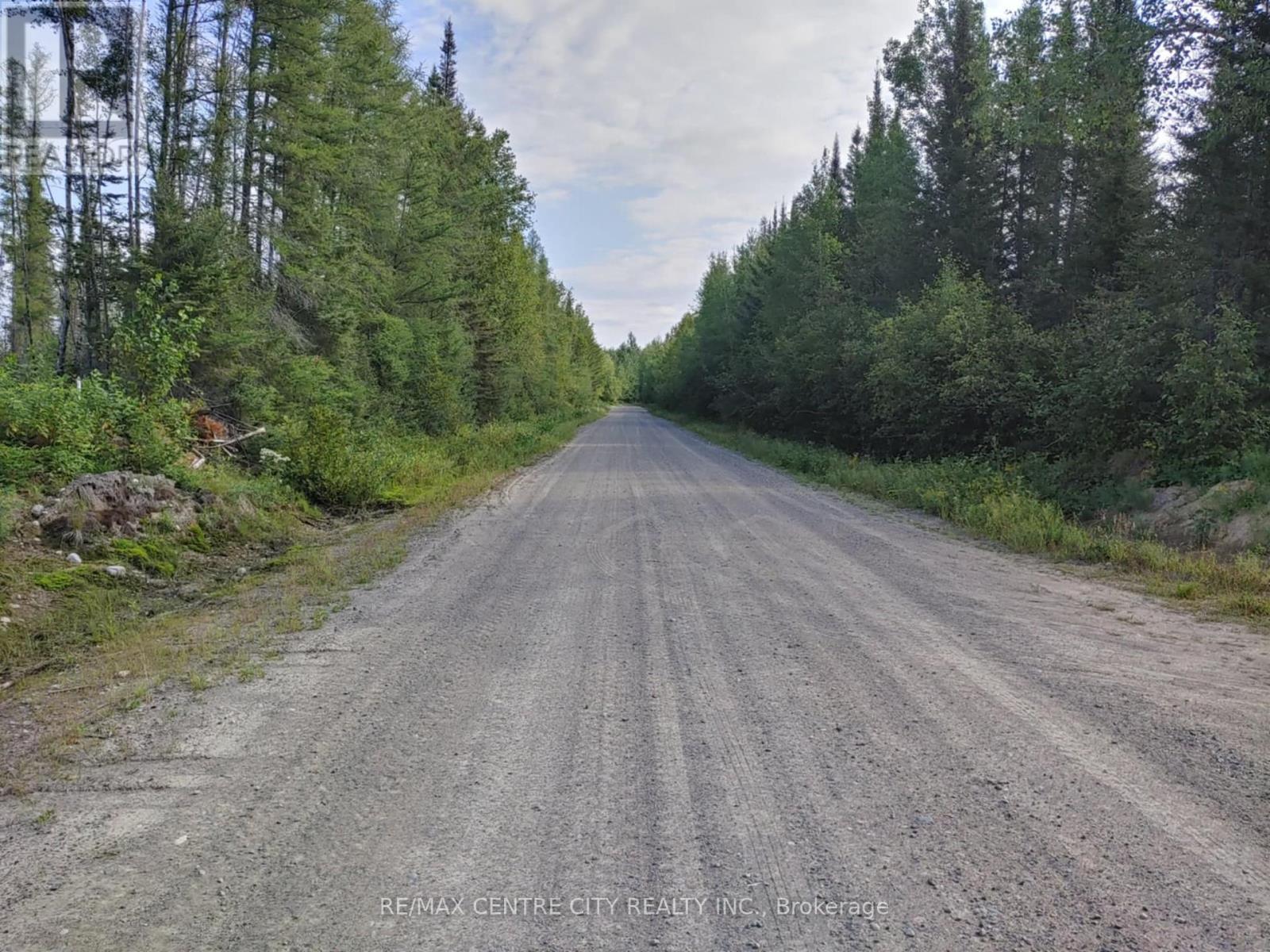 Lot 5 Con 1 Road, Timiskaming Remote Area, Ontario  P0J 1M0 - Photo 11 - T9376320
