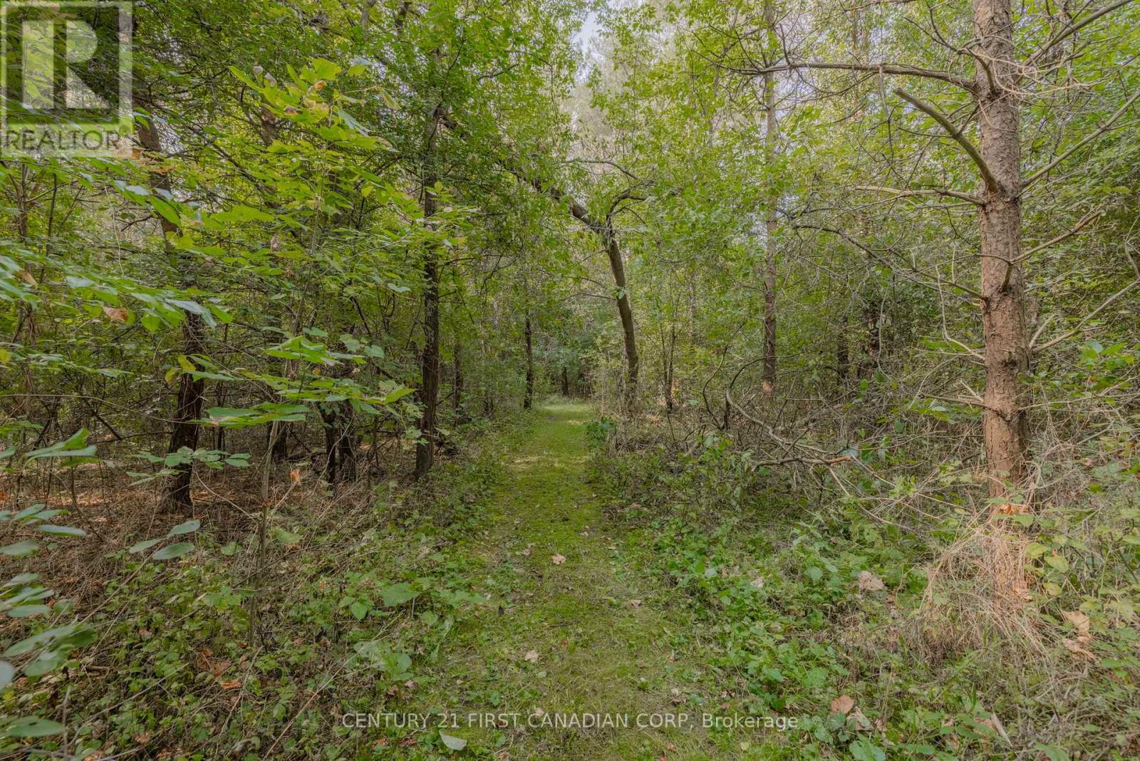 5235 4 Line, St. Marys (21 - St. Marys), Ontario  N4X 1C8 - Photo 21 - X9385200