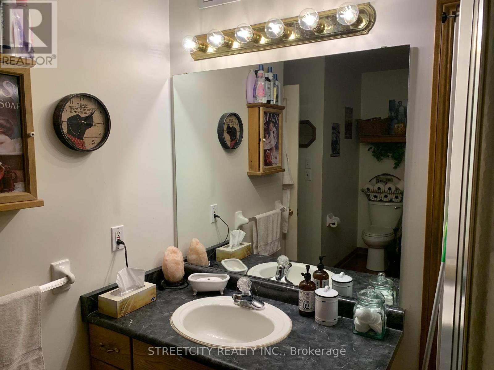 161 Roe Street, Southwest Middlesex (Glencoe), Ontario  N0L 1M0 - Photo 20 - X9385832