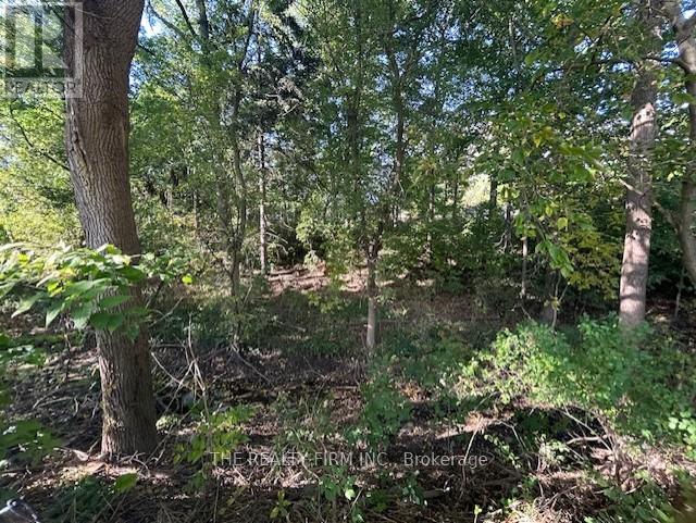 273 Saulsbury Street, Strathroy-Caradoc (Se), Ontario  N7G 2B1 - Photo 38 - X9389826