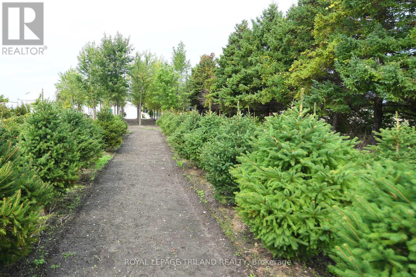 5101 Dundas Street, Thames Centre (Thorndale), Ontario  N0M 2P0 - Photo 23 - X9391046