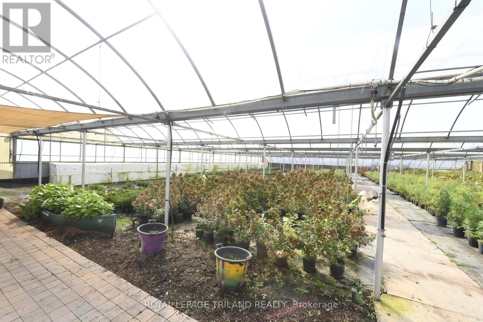5101 Dundas Street, Thames Centre (Thorndale), Ontario  N0M 2P0 - Photo 6 - X9391046